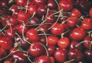 Forførende frugter: Kirsebær-kulinariske fristelser